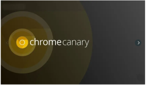 Google Chrome Canary