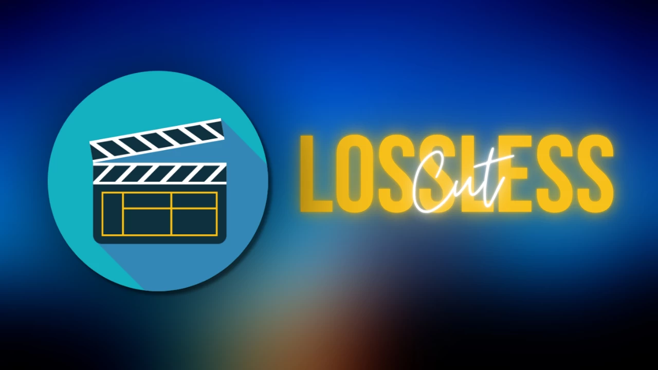 LosslessCut 3.66.1