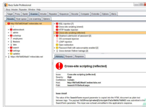 Burp Suite Professional 2025.8.8
