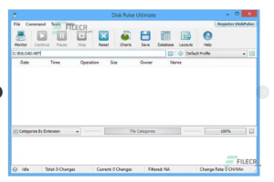 Disk Pulse Disk Pulse